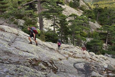 randonnée dans la forêt de Vizzavona, Corse