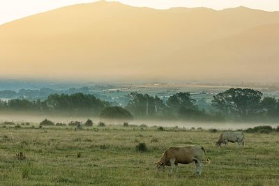 Cerdagne - Parc Naturel Régional des Pyrénées Catalanes - France