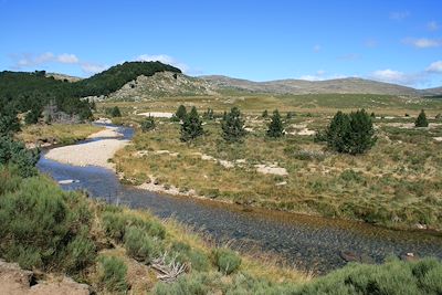 Source du Tarn - France