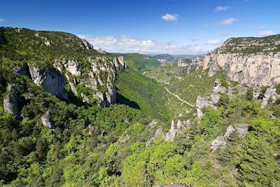 Gorges de la Jonte (ermitage Saint-Michel) - Cévennes - France