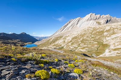 Lac de montagne - Parc naturel du Queyras - France