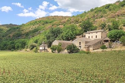 Ferme et pigeonnier - Aveyron - Occitanie - France