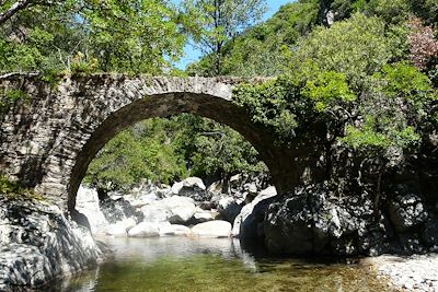 Pont romain sur le ruisseau d'Heric - Massif du Caroux - Parc naturel du Haut-Languedoc - France