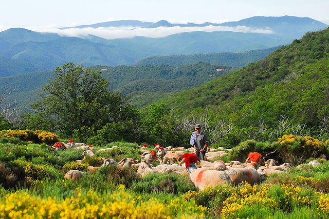 Voyage L'étoile des Cévennes