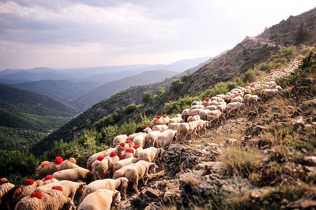 Voyage L'étoile des Cévennes