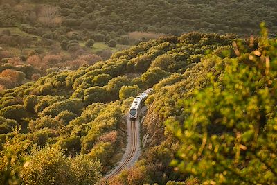 La Corse sur les rails