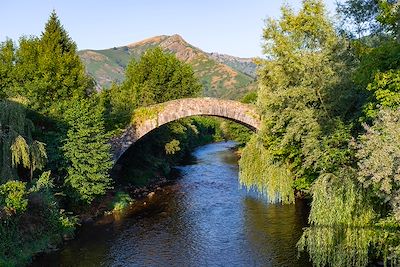 Pont Romain à Saint-Étienne-de-Baïgorry - Pays-Basque - France