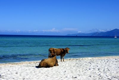 Désert des Agriates - Corse - France