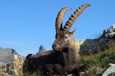 Mercantour - Alpes du Sud - France