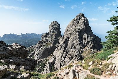 De Vizzavona à Bavella - Corse - France