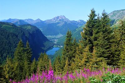 Le lac de Montriond et le Roc d'Enfer depuis le col de Bassachaux - Grande Traversée des Alpes - France