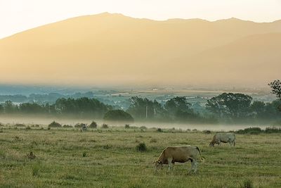 Cerdagne - Parc Naturel Régional des Pyrénées Catalanes - France