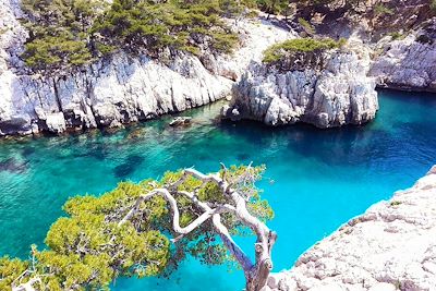 Calanques - France