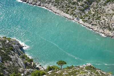 Calanque de Morgiou - France