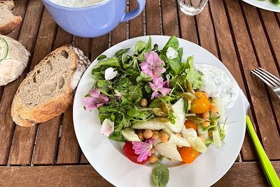 Assiette gourmande à base de plantes sauvages comestibles