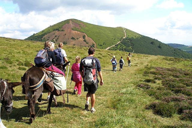 Voyage Rando âne près des volcans d'Auvergne en été