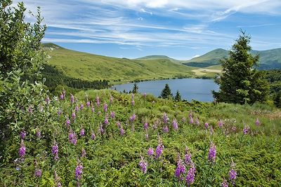 Le lac de Guéry - Puy-de-Dôme - Auvergne - France