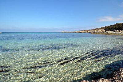 Marine de Davia - Corse - France