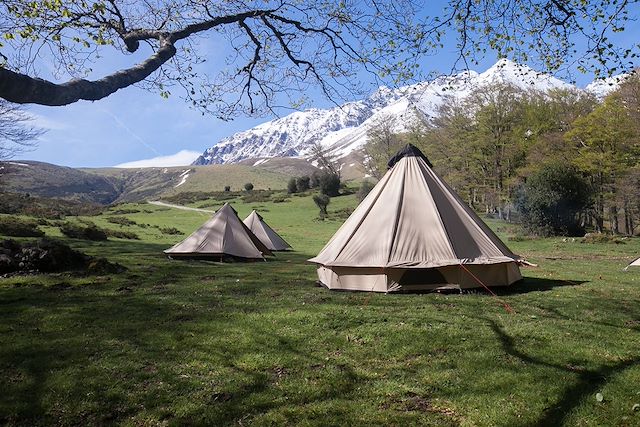 Voyage L'appel de la forêt en Hautes Pyrénées