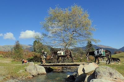 Randonnée muletière dans les Hautes Pyrénées - France