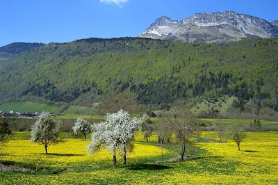 Les Bauges - France