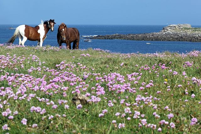 Voyage Bien-être et thalasso : de Roscoff à l'île de Batz