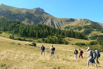 Haut Verdon - Hautes Alpes - France