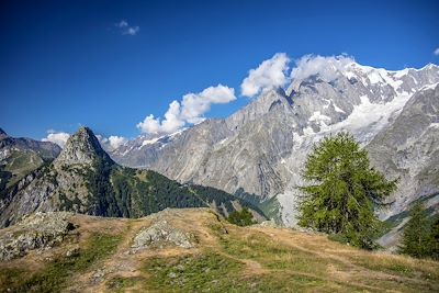 Mont de la Saxe - Massif du Mont Blanc versant italien - Vallée d'Aoste - Italie