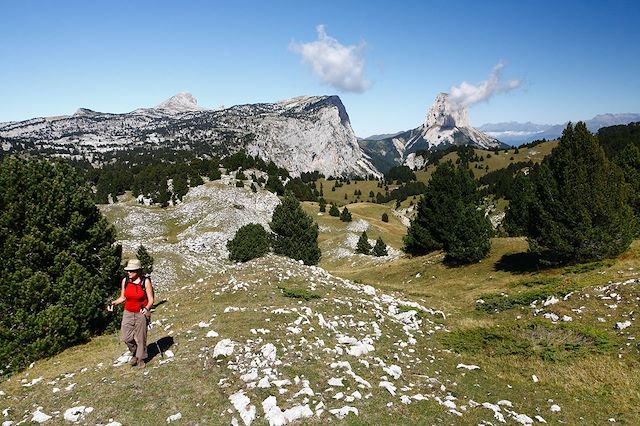 Voyage Les loups des hauts plateaux du Vercors