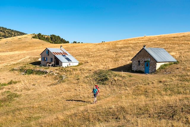 Voyage Les loups des hauts plateaux du Vercors