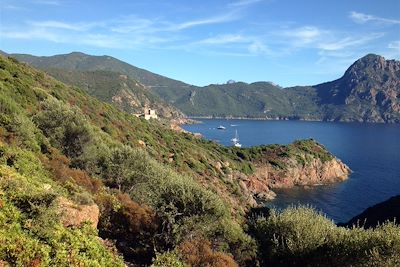 Golfe de Girolata - Mare e Monti - Corse - France