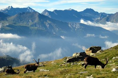 Vanoise - FRANCE