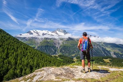 Vue sur le Mont Pourri - La Vanoise - France