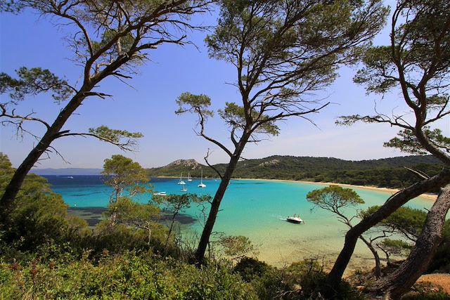 Voyage Iles d'Or et massif des Maures