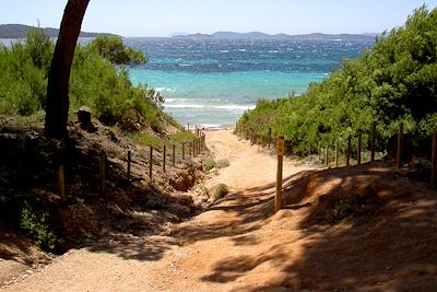 Randonnée jusqu'à la plage sur l'île de Porquerolles - France