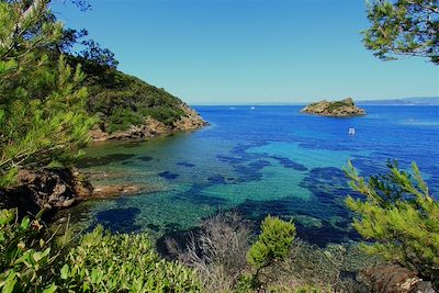 L'île de Port-Cros - France