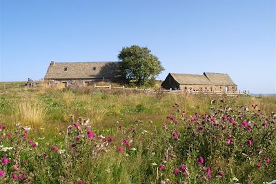 Traversée du Massif Central : du Cantal à l'Aubrac - France