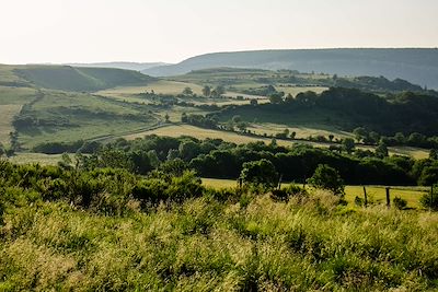 Paysage d'Aubrac - France