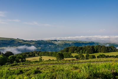 Paysage d'Aubrac - France