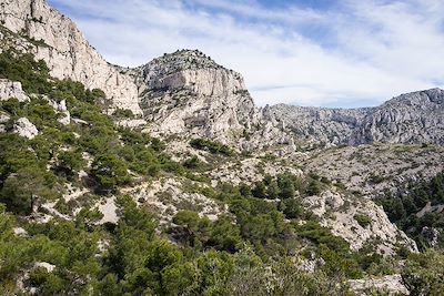 Parc National des Calanques, entre Callelongue et Marseilleveyre - France