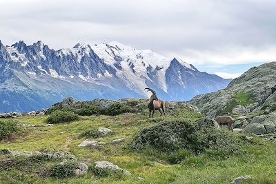 Voyage  Alpes du Nord