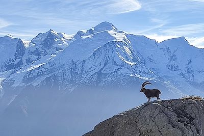 Vallée du Mont-Blanc - Haute-Savoie - France