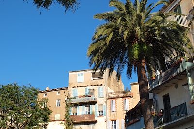 Village de Bormes les Mimosas - France