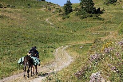 Randonnée avec un âne - Pyrénées - France