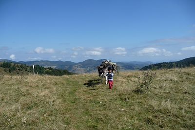 Balade avec un âne - Pyrénées - France