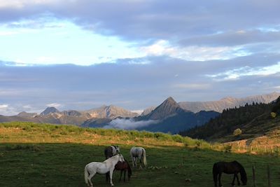 Pyrénées - France