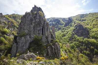 Paysage du piémont ardéchois - France