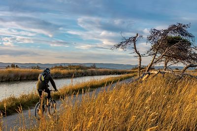 Vélo - Canal du Midi - France