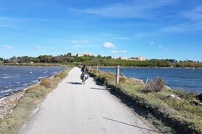 Escapade en Camargue à vélo d'Arles à Sète