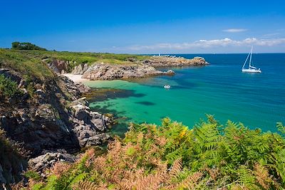 Île de Houat, côte nord tournée vers le golfe du Morbihan - France